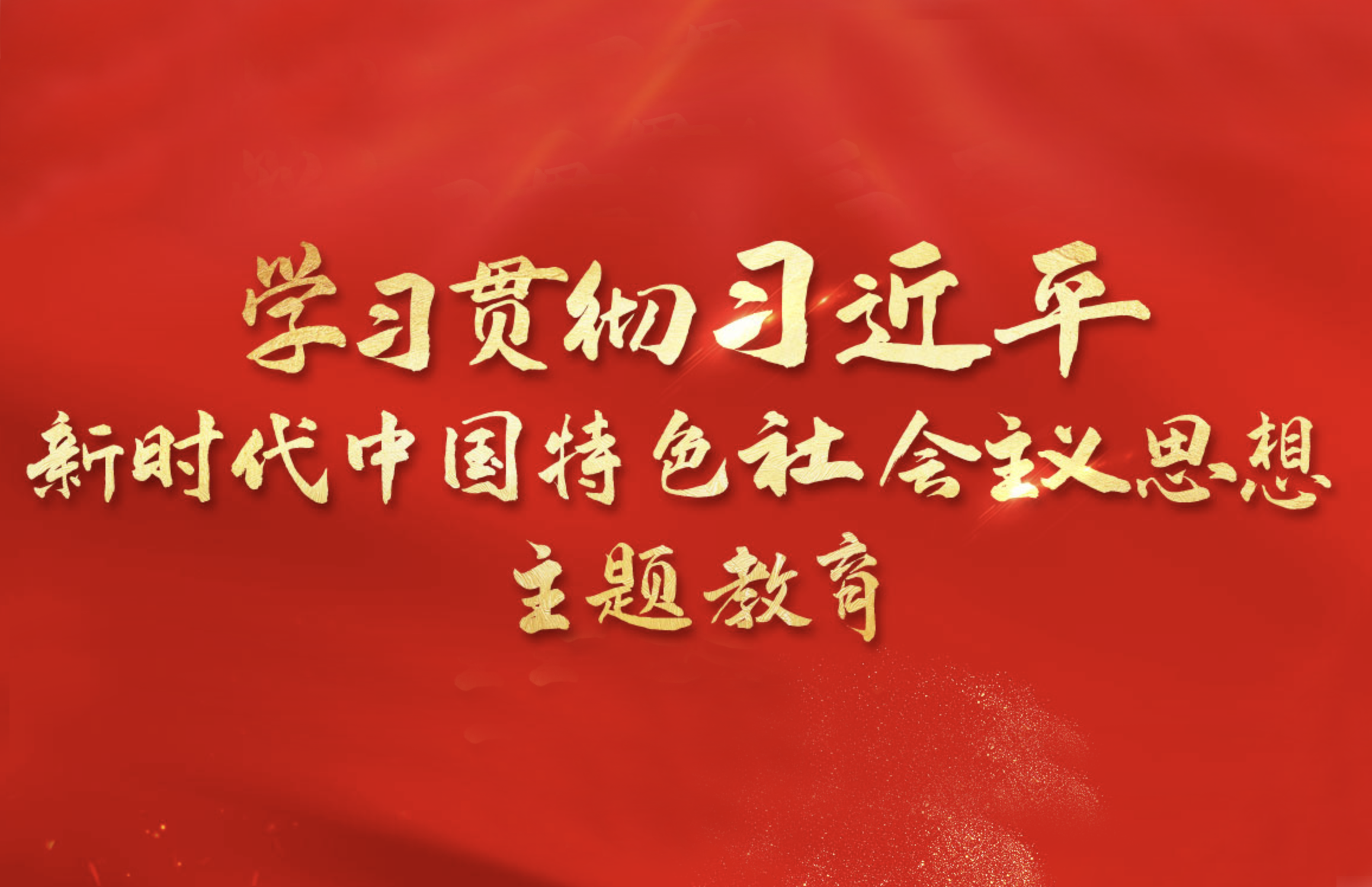 學(xué)習(xí)宣傳貫徹習(xí)近平新時代中國特色社會主義思想主題教育